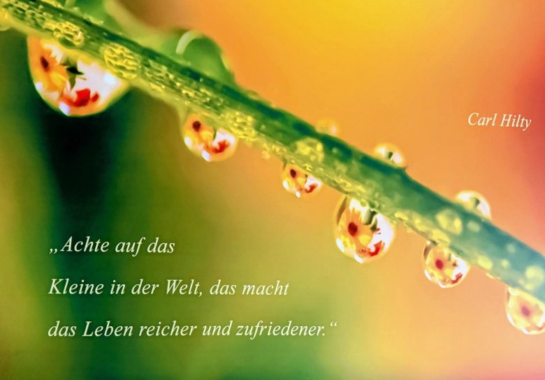 Lebenfreude Inspiration