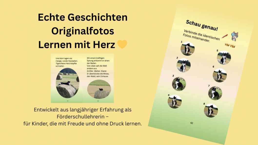 Tigerchen2_2.jpg